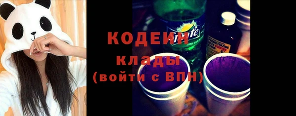 дживик Абаза