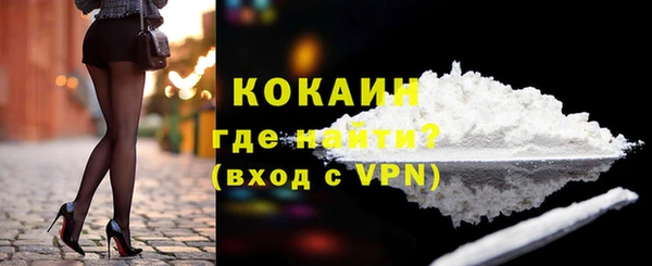 дживик Абаза