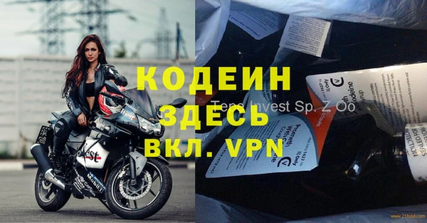 дживик Абаза