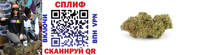 Бошки Шишки гибрид  как найти   Новое Девяткино 